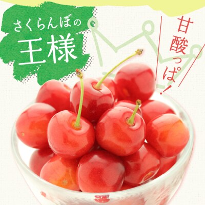【先行受付】 令和8年産 さくらんぼ 佐藤錦 1kg ( 手詰め )
