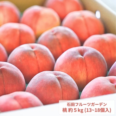 桃 5kg [2026年発送分] 新潟県産桃 [石田フルーツガーデン] 【017P021】