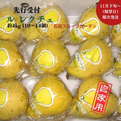 先行受付 ルレクチエ 自家用 約4kg 11月下旬～発送予定 石田フルーツガーデン【015S068】