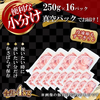 【農場直送】真空パック　北島ワインポーク　カツ用ロース 4kg 【小分け】_Y067-0121