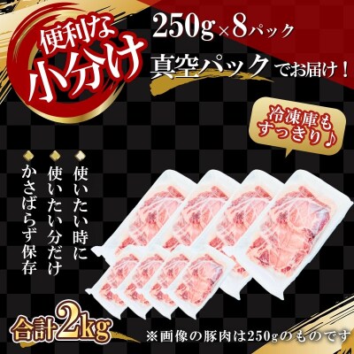 【農場直送】真空パック　北島ワインポーク　カツ用ロース 2kg 【小分け】_Y067-0122