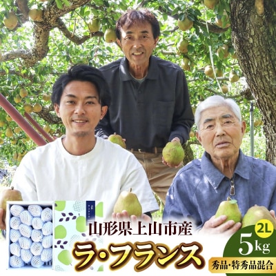 西洋梨(ラ・フランス)5kg　2L　0078-2605