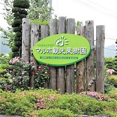 西洋梨(ラ・フランス)5kg　2L　0078-2605