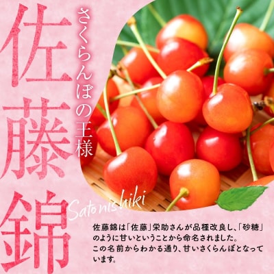 2026年発送【先行受付】佐藤錦【2Lサイズ】500g×2【ニトリ観光果樹園】_Y074-0134