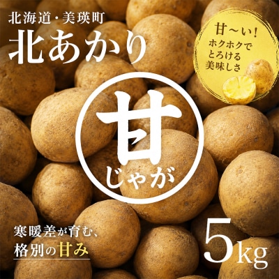 じゃがいも (北あかり)5kg【令和8年産先行受付】黒木農場[006-29]