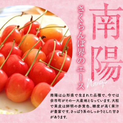 2026年発送【先行受付】南陽【3Lサイズ】500g×2【ニトリ観光果樹園】_Y074-0142