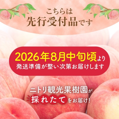 【先行受付:2026年8月中旬以降発送】フルーツ王国余市産「桃」 3kg_Y074-0147