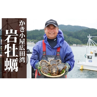 夏が旬! 殻付き岩牡蠣 約2kg 冷蔵 カキ 牡蠣 生食可 新鮮 数量限定 かき小屋広田湾