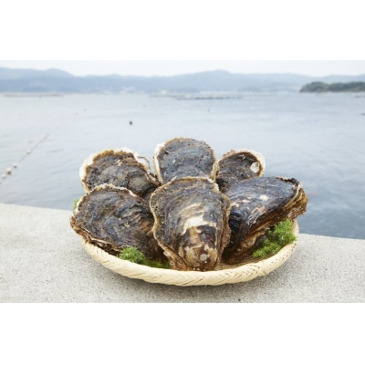 夏が旬! 殻付き岩牡蠣 約2kg 冷蔵 カキ 牡蠣 生食可 新鮮 数量限定 かき小屋広田湾