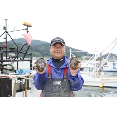 夏が旬! 殻付き岩牡蠣 約2kg 冷蔵 カキ 牡蠣 生食可 新鮮 数量限定 かき小屋広田湾