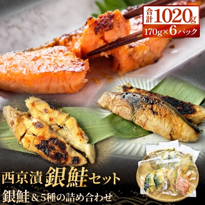 銀鮭 西京漬け セット 約1kg 焼くだけ 惣菜 冷凍 6種 