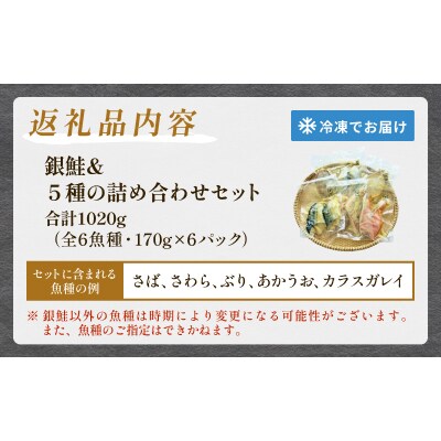 銀鮭 西京漬け セット 約1kg 焼くだけ 惣菜 冷凍 6種 