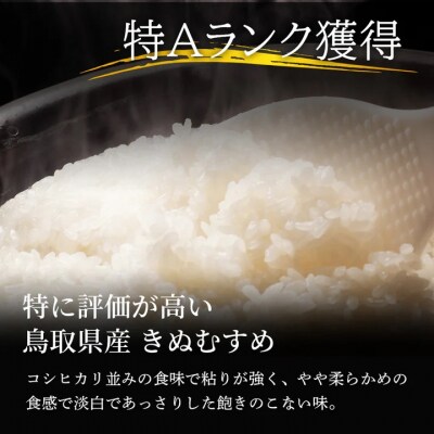因幡の白兎米 きぬむすめ 令和8年産 精米済 20kg(5kg×4袋)