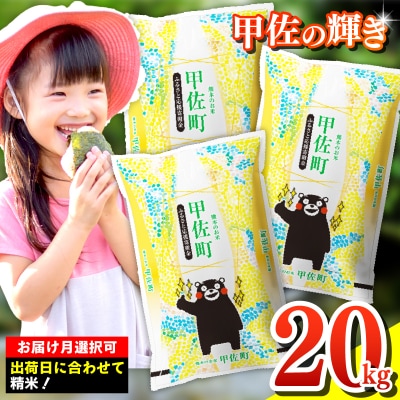 令和7年産【定期便3ヶ月】『甲佐の輝き』精米20kg【配送指定可】【ZM】