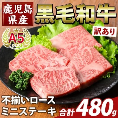 A5等級黒毛和牛 不揃いロースミニステーキ(計480g) 【ふるさと産直バザール】K-479-B