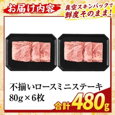 A5等級黒毛和牛 不揃いロースミニステーキ(計480g) 【ふるさと産直バザール】K-479-B