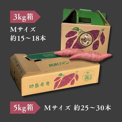 【先行受付中・2026年12月上旬頃より順次発送】鳴門産 さつまいも 『 阿波ロマン 』 3kg 