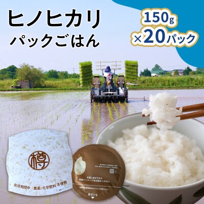 米 パックごはん 150g入×20パック パック お米 コメ[No5354-2424]
