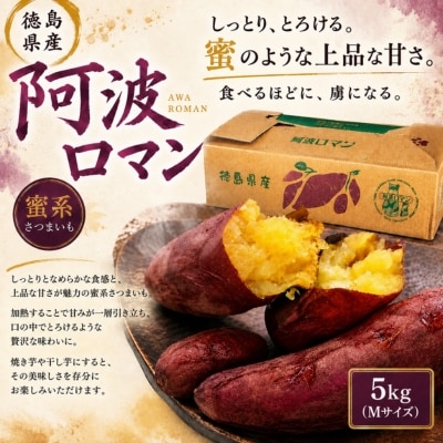 【先行受付中・2026年12月上旬頃より順次発送】鳴門産 さつまいも 『 阿波ロマン 』 5kg 
