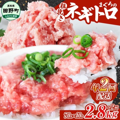 ～四国一小さなまち～≪カネアリ水産≫まぐろのネギトロ2.8kg(70g×40パック)★年2回配送★