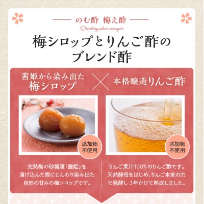 のむ酢梅え酢720ml6本 山形県 東根市 壽屋提供 hi036-081
