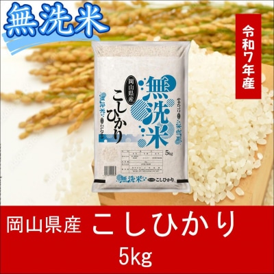 お米　【無洗米】　【令和7年産】　岡山県産　こしひかり100%　5kg　上-12