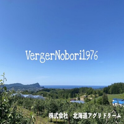 桃リキュール&山ぶどうリキュール 2本セット_Y103-0025