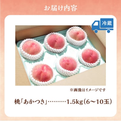 【2026年産 先行受付】<北海道余市産>桃「あかつき」1.5kg(6～10玉)_Y103-0058