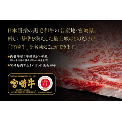 3回 定期便 宮崎牛 特上 ロース ステーキ 300g×2枚×3回 [31be0064]