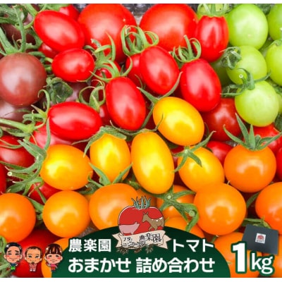 農楽園トマト おまかせ 1kg 詰め合わせ【お届け日指定返礼品】　ab03002