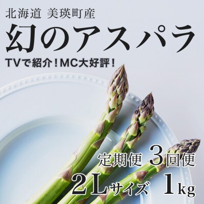 令和9年産先行予約 アスパラガス【訳あり 1kg 3回便】北海道産 ラスノーブル