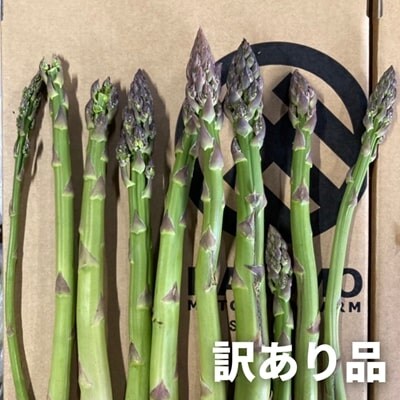 令和9年産先行予約 アスパラガス【訳あり 1kg 3回便】北海道産 ラスノーブル
