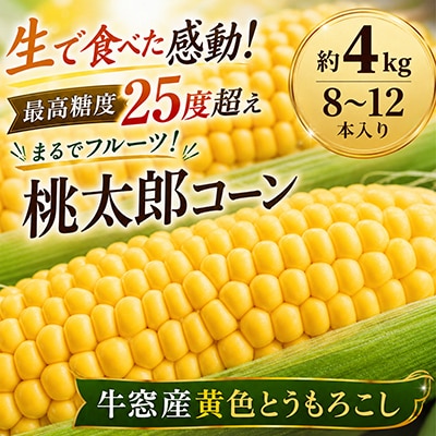 最高糖度25度超え 瀬戸内朝採り 生でおいしい  とうもろこし 桃太郎コーン 約4kg(8～12本)