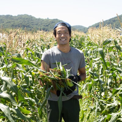 最高糖度25度超え 瀬戸内朝採り 生でおいしい  とうもろこし 桃太郎コーン 約4kg(8～12本)