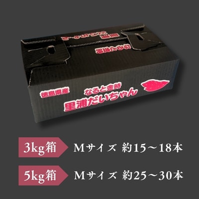 【先行受付中・2026年10月下旬頃より順次発送】鳴門産 さつまいも 里浦だいちゃん 3kg
