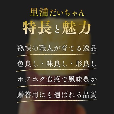 【先行受付中・2026年10月下旬頃より順次発送】里浦だいちゃん 5kg