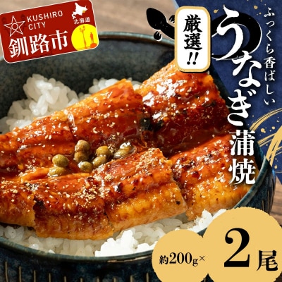うなぎ蒲焼 200g×2尾セット 職人 手焼き 真空 冷凍 北海道 ウナギ 鰻 かばやき