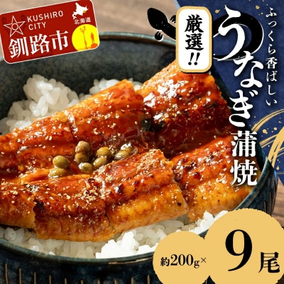うなぎ蒲焼 200g×9尾セット 職人 手焼き 真空 冷凍 北海道 ウナギ 鰻 かばやき