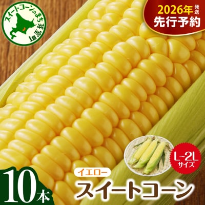 【8月から発送!】北海道芽室町 スイートコーン 10本 イエロー