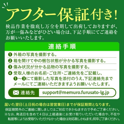 【8月から発送!】北海道芽室町 スイートコーン 10本 イエロー