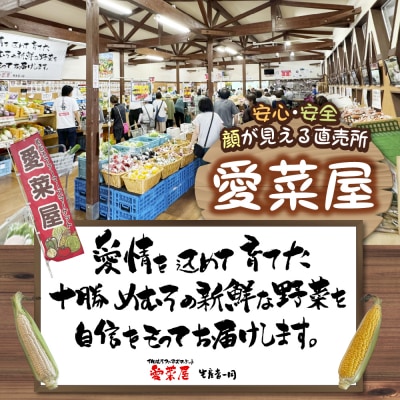 【8月から発送!】北海道芽室町 スイートコーン 10本 イエロー