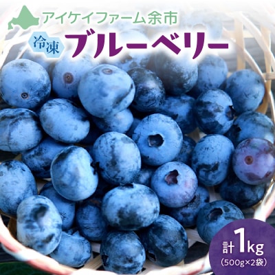 冷凍ブルーベリー 500g×2袋(チャック付き袋)_Y111-0007