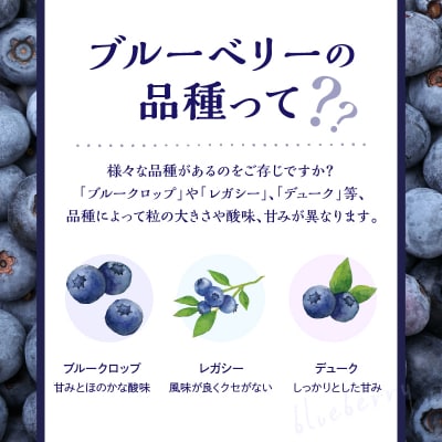 【7月中旬頃より発送】青果ブルーベリーおまかせ1種1kg(500g×2パック)_Y111-0010