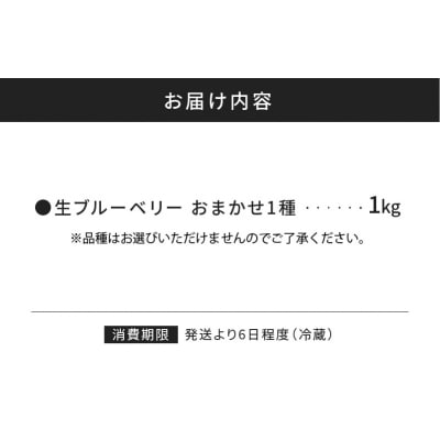 【7月中旬頃より発送】青果ブルーベリーおまかせ1種1kg(500g×2パック)_Y111-0010