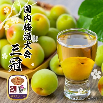 東光 吟醸 梅酒 500ml × 2本 セット