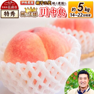 桃 約5kg【2026年産 桃の王様 川中島】特秀|24_tgn-080501