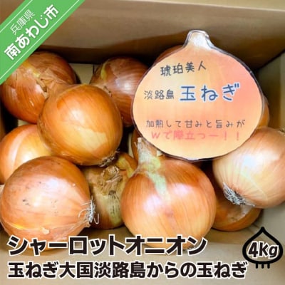 淡路島極熟玉葱4kg　シャーロットオニオン　玉ねぎ大国淡路島からの玉ねぎ