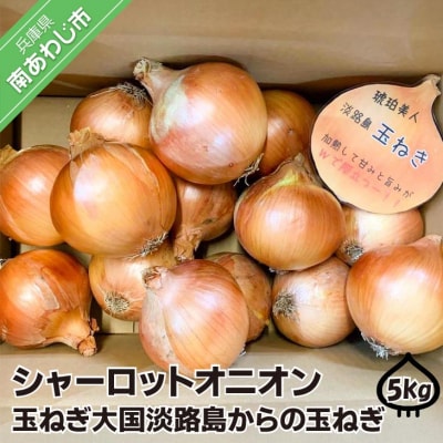 淡路島極熟玉葱5kg　シャーロットオニオン　玉ねぎ大国淡路島からの玉ねぎ