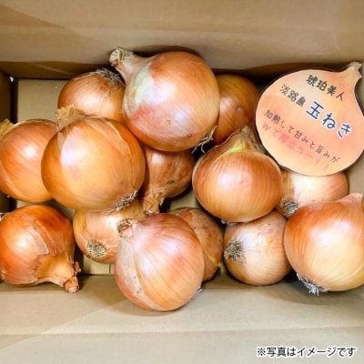 淡路島極熟玉葱5kg　シャーロットオニオン　玉ねぎ大国淡路島からの玉ねぎ