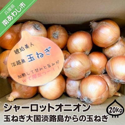 淡路島極熟玉葱20kg　シャーロットオニオン　玉ねぎ大国淡路島からの玉ねぎ